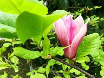生生不息，意由心生 解讀生意之本與批發貿易之道